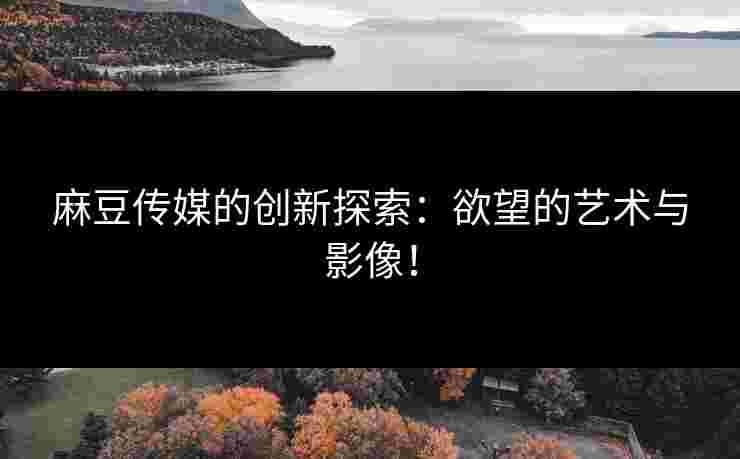 麻豆传媒的创新探索：欲望的艺术与影像！
